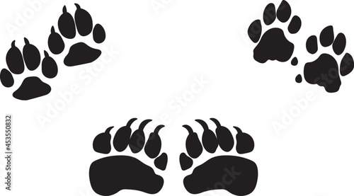 Vector of the wild animal footsteps