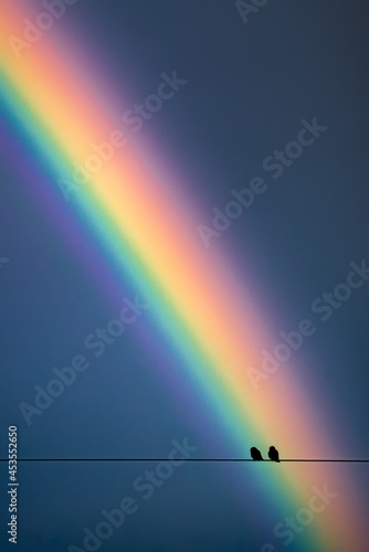 The silhouette of a pair of small birds on a wire with a rainbow background as the sky darkens.
