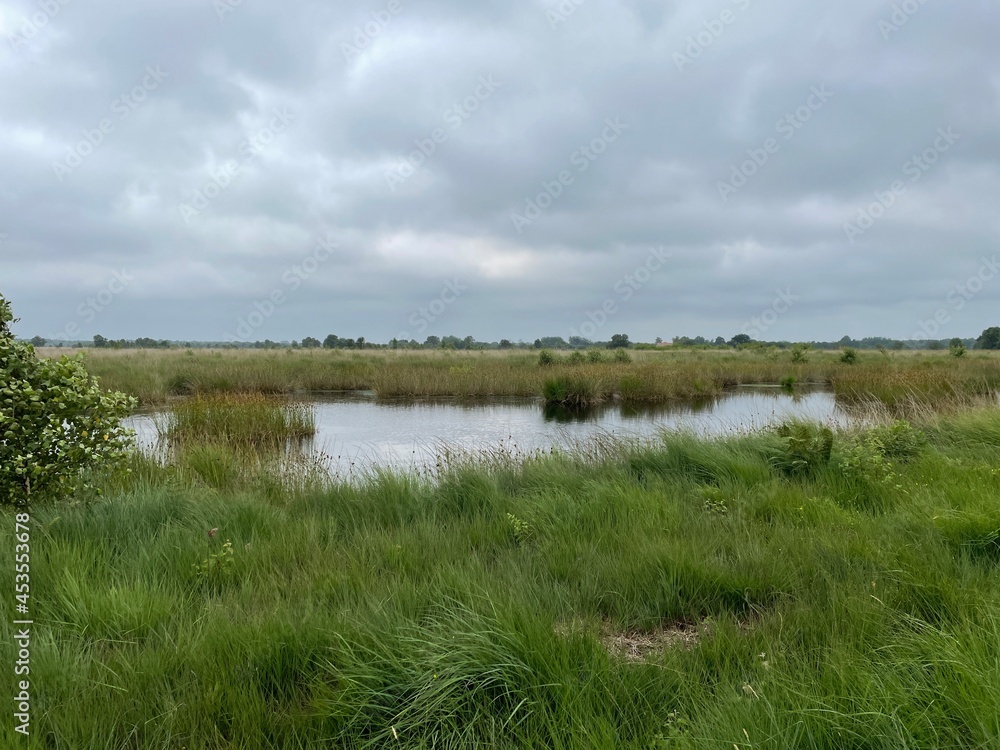 Hochmoor - Ewiges Meer Hochmoor - Ewiges Meer