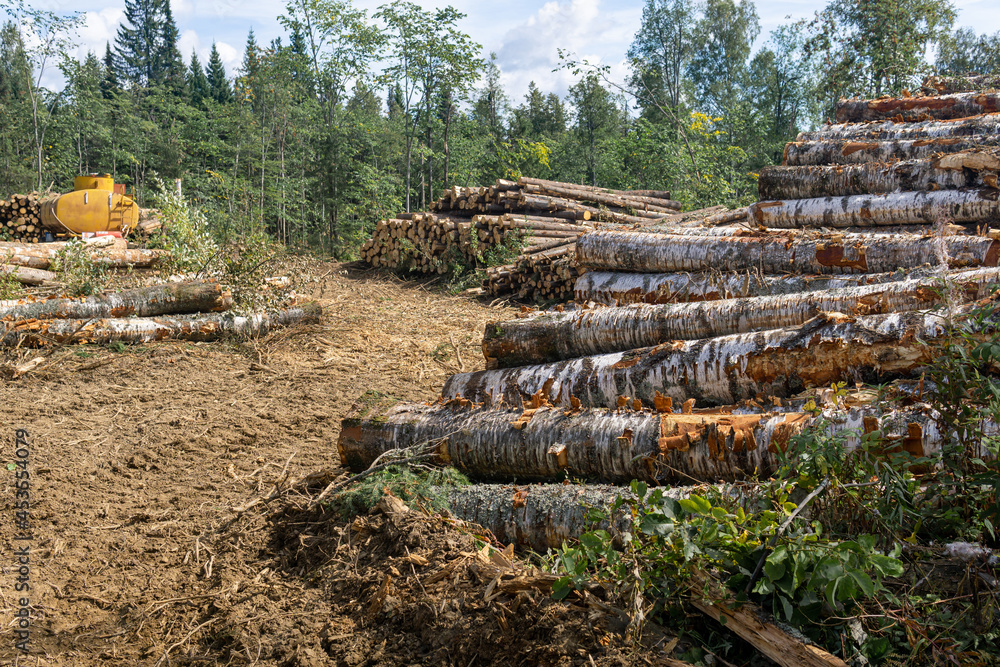view of the felling - deforested land and stacks of logs view of the felling - deforested land and stacks of logs