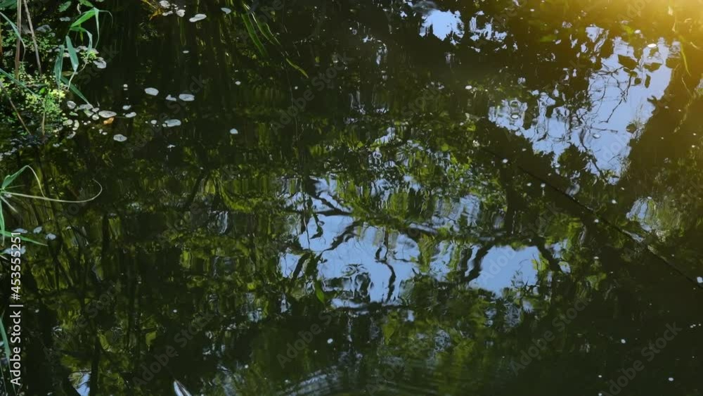 Abstract nature background of wavy ripple water surface with blur reflection of plants and trees growing by river bank. Freshwater texture of standing water in lake while sunset sunlight making glares Abstract nature background of wavy ripple water surface with blur reflection of plants and trees growing by river bank. Freshwater texture of standing water in lake while sunset sunlight making glares