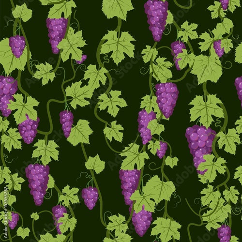 Bunches of grapes. Branches with berries on a dense bush. Young vineyard. On dark background. vSweet autumn Ripe harvest. Seamless pattern. Vector