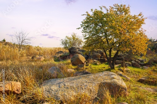 Beautiful yellowed vegetation and stones covered with lichen and moss hills in picturesque Ukraine