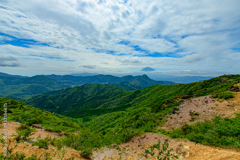 Naklejka premium landscape with blue sky