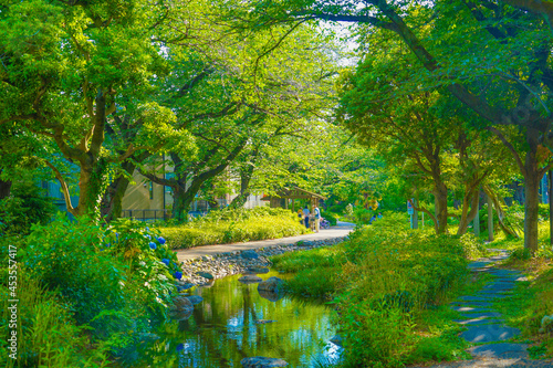 残堀川緑道公園（立川市）