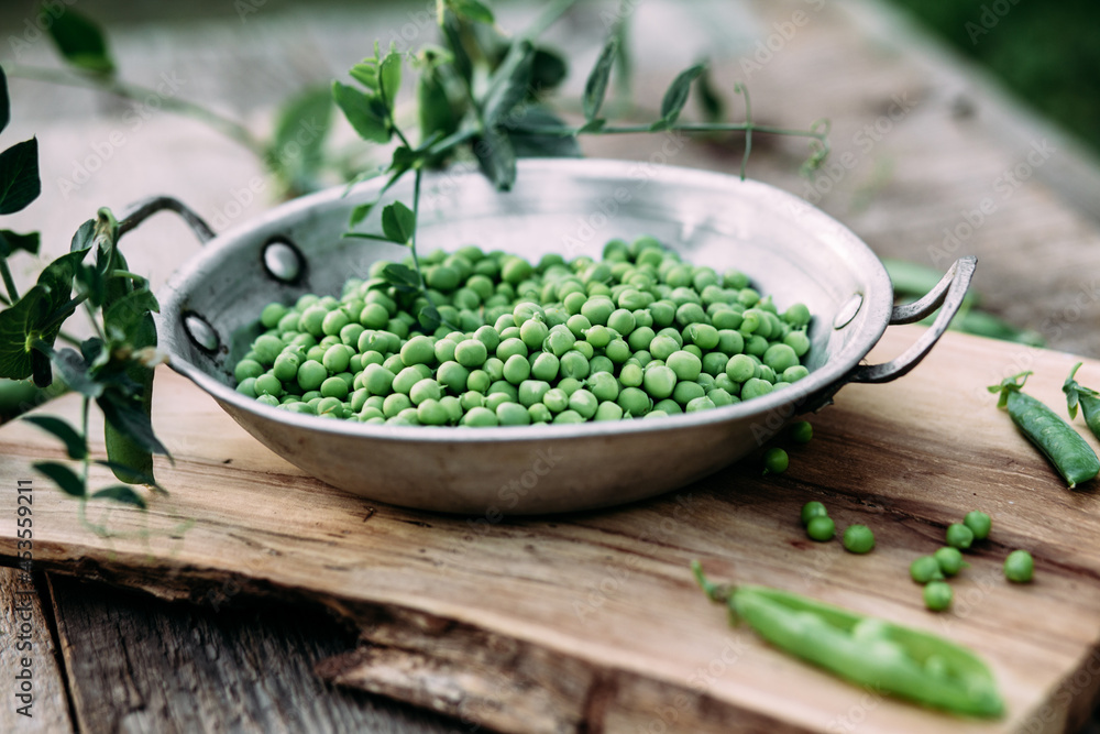 Fresh green peas in a plate. Peas in a pod. Country style Fresh green peas in a plate. Peas in a pod. Country style