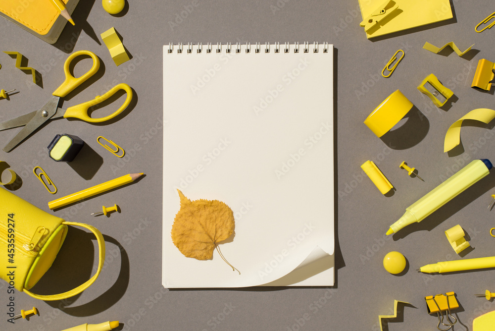 Overhead photo of school equipment scissors stickers tape paper clips pins pencil pen marker sharpener pencil box and notepad with curved page and leaf in the middle isolated on the grey backdrop Overhead photo of school equipment scissors stickers tape paper clips pins pencil pen marker sharpener pencil box and notepad with curved page and leaf in the middle isolated on the grey backdrop