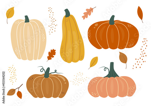 Set of colorful autumn pumpkins of different shapes in flat style. Fall harvest cartoon vegetables. Hand drawn squash elements. Symbol of halloween vector illustration.