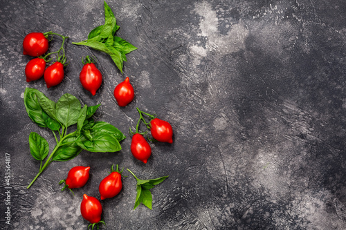 Cherry tomatoes and basil atop dark textured backdrop, copy space, top view