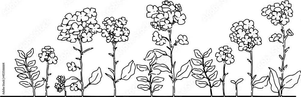 手描き菜の花の挿絵イラスト Stock Vector Adobe Stock 手描き菜の花の挿絵イラスト Stock Vector Adobe Stock