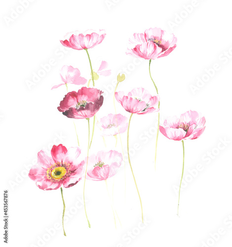 Flowers watercolor illustration.Manual composition.Big Set watercolor elements,Design for textile, wallpapers,Element for design,Greeting card