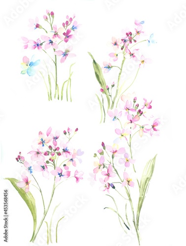 Flowers watercolor illustration.Manual composition.Big Set watercolor elements，Design for textile, wallpapers，Element for design,Greeting card