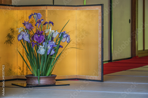 金屏風と菖蒲の花 photo