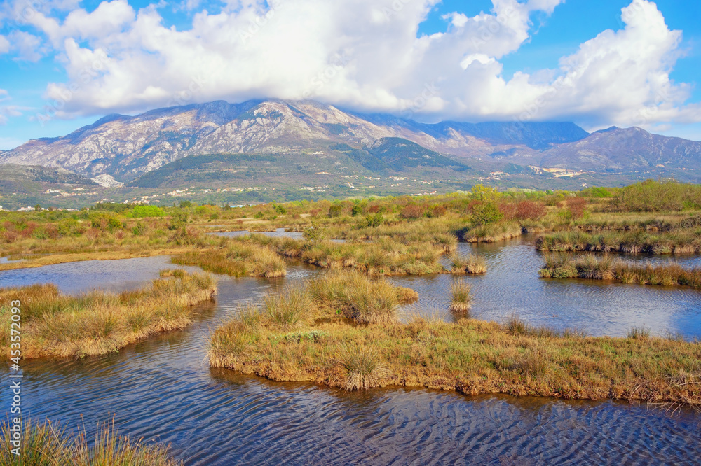 Beautiful wetland landscape. Montenegro, Tivat. View of Tivat Saline  ( Tivatska Solila ) -  Special Nature Reserve
