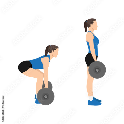 Woman doing Barbell deadlifts exercise. Flat vector illustration isolated on white background photo