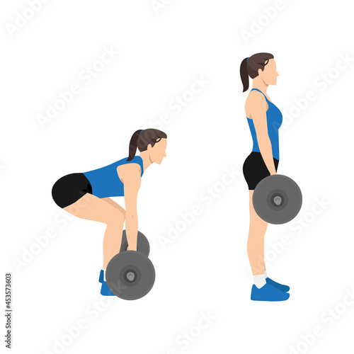 Woman doing Barbell deadlifts exercise. Flat vector illustration isolated on white background