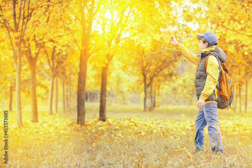 Fall. child with backpack looking away over the golden trees foliage with background of autumn trees landscape. maple leaves. Bright banner. copy space. Back to school or hello autumn