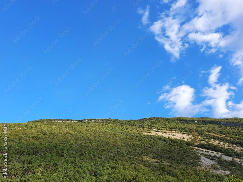 blue sky and green grass background 