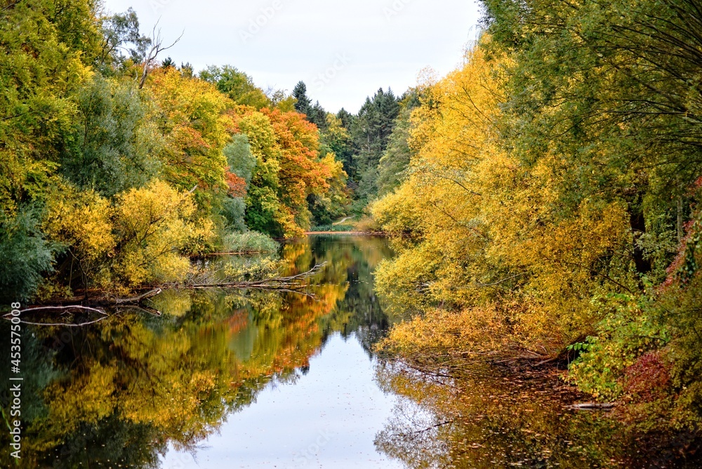 Reflected pond