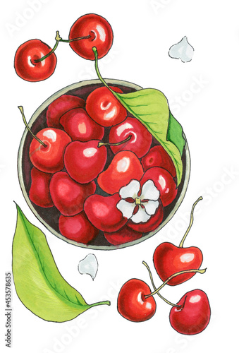 marker illustration of bowl full of cherries with leaves, berries, flowers