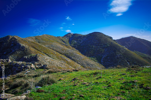 Landscape of the remains of some sow.