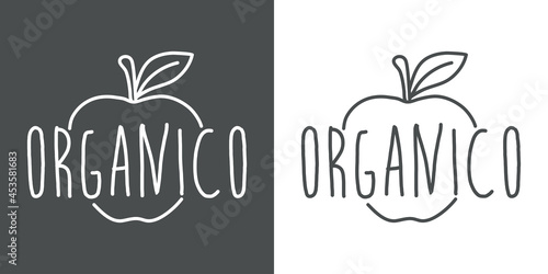 Logotipo con texto manuscrito Org  nico en espa  ol escrito a mano en silueta de manzana con lineas en fondo gris y fondo blanco