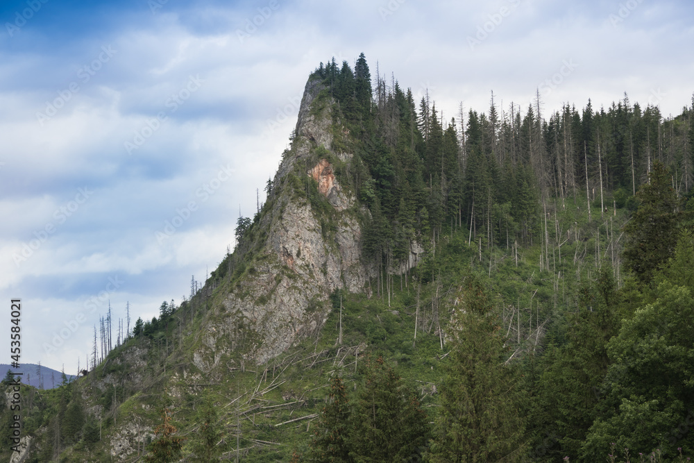 Zawiesista Turnia in the Western Tatras