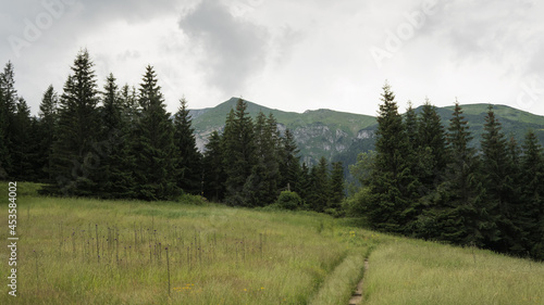 Obraz na płótnie Mountain meadow in the Polish Tatras w salonie