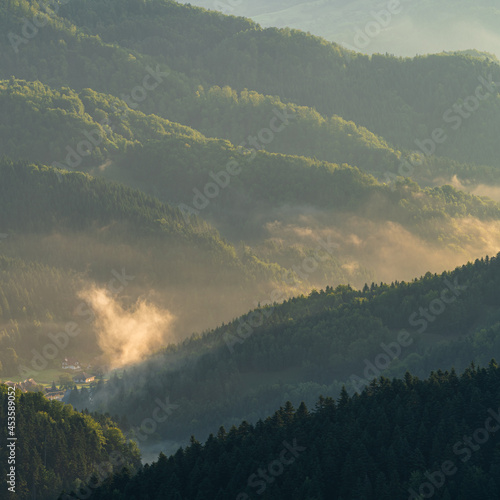 Dolina Potoku Czercz w porannych mgłach, Piwniczna Zdrój, lato, widok z Eliaszówki w Beskidzie Sądeckim