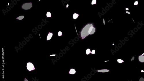 桜の花びらが舞う