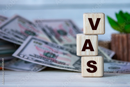 VAS - acronym on wooden cubes on the background of a cactus and banknotes