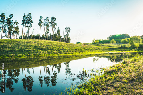 Landscape. Reflection of pines in the lake.
