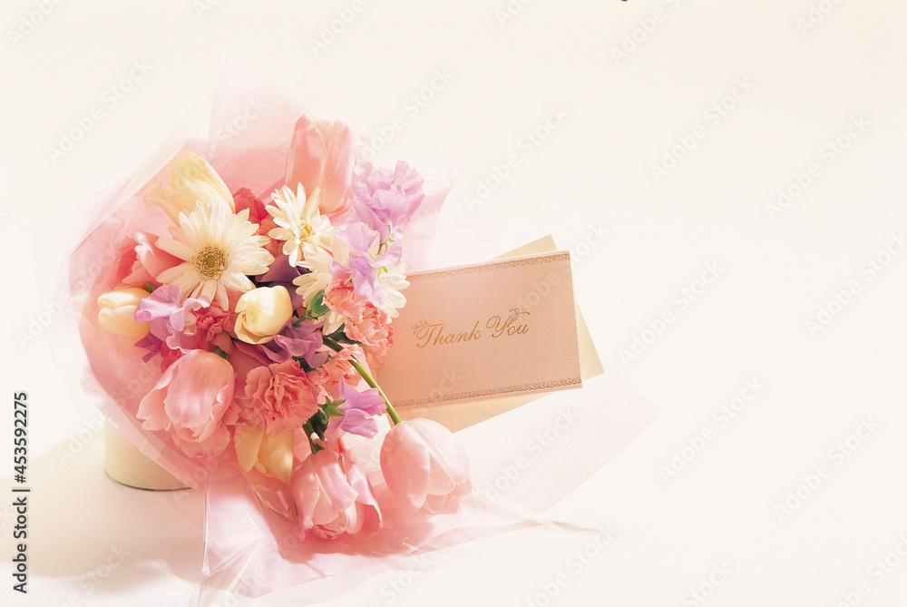 pink rose and box pink rose and box