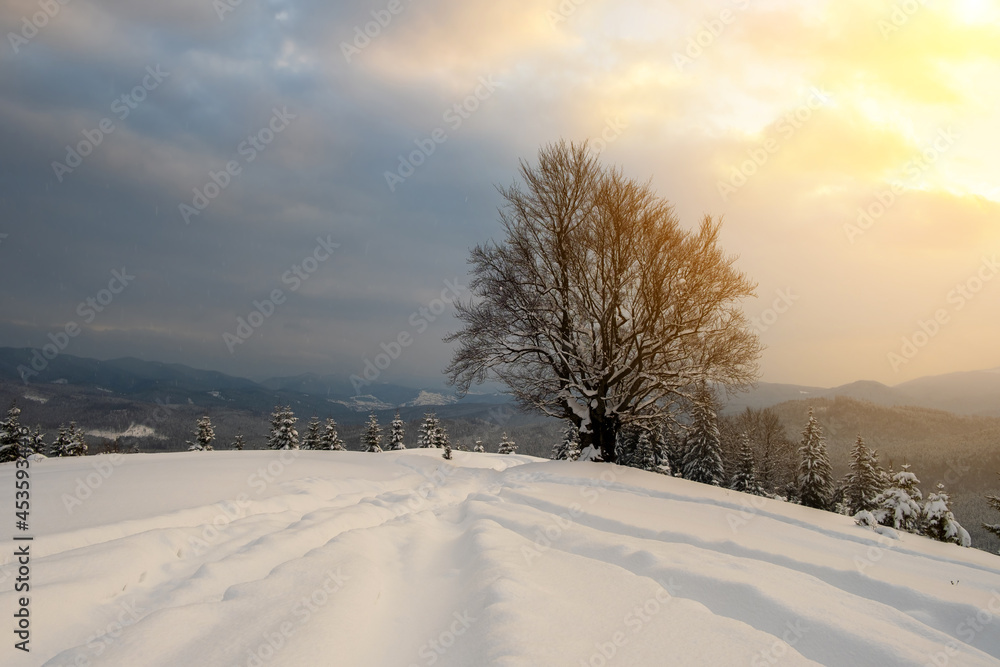 Moody landscape with footpath tracks and bare dark trees covered with fresh fallen snow in winter mountain forest on cold gloomy evening. Moody landscape with footpath tracks and bare dark trees covered with fresh fallen snow in winter mountain forest on cold gloomy evening.