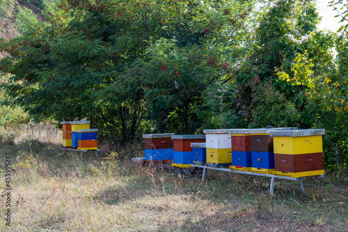 Colored beehive boxes in summertime