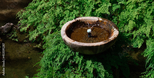Small water fountaine in the garden as decoration among green fresh plants