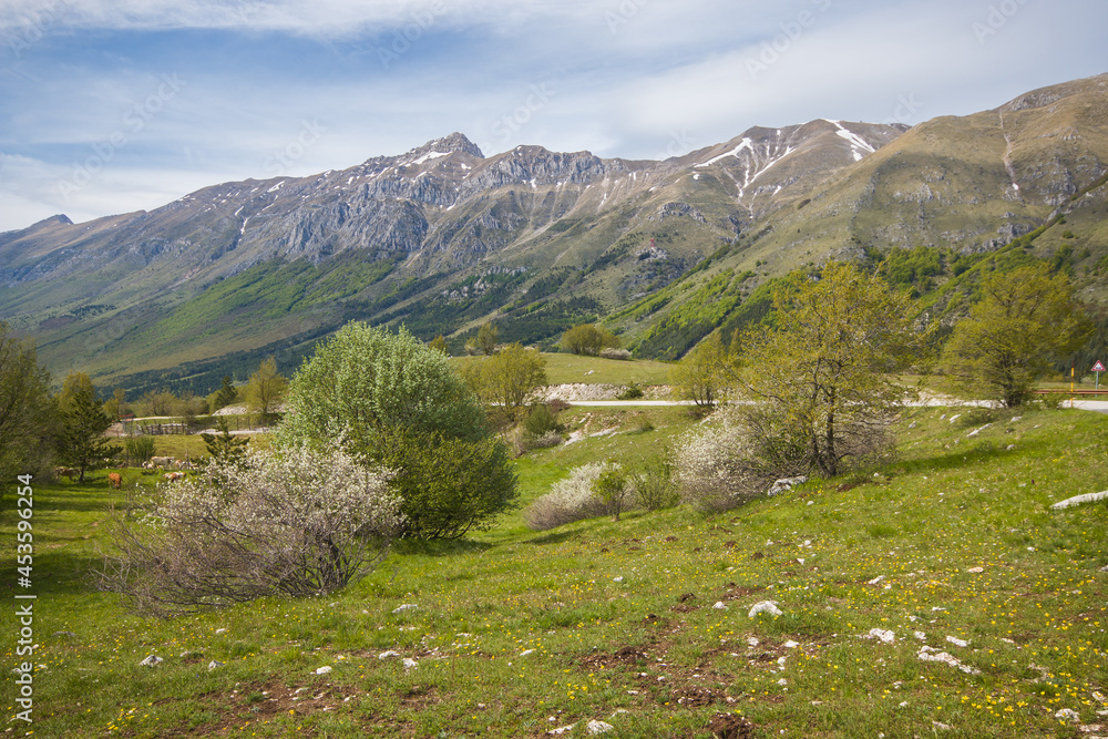 Obraz premium Panoramic view of Gran Sasso massif in the spring season 