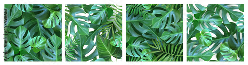 Set of patterns with tropical, exotic leaves. Monstera seamless patterns. Realism. Vector illustration