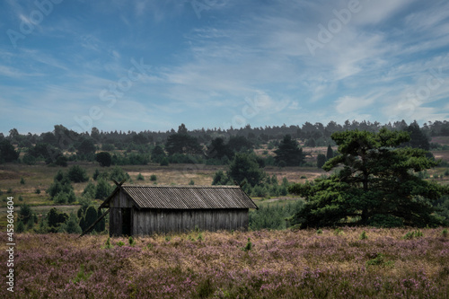 Wallpaper Mural Scheune in der typischen Heidelandschaft Torontodigital.ca