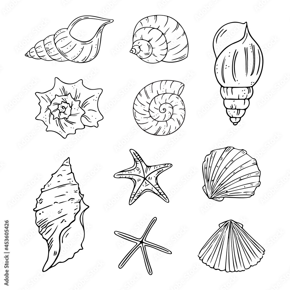 Doodle starfish and seashells set, hand-drawn sea symbols. Fossils painted by ink, pen. Line, minimalism. Simple sketchy icons . Isolated. Vector illustration. Doodle starfish and seashells set, hand-drawn sea symbols. Fossils painted by ink, pen. Line, minimalism. Simple sketchy icons . Isolated. Vector illustration.