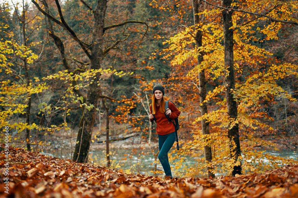 woman with a backpack walks in the autumn forest yellow leaves nature woman with a backpack walks in the autumn forest yellow leaves nature