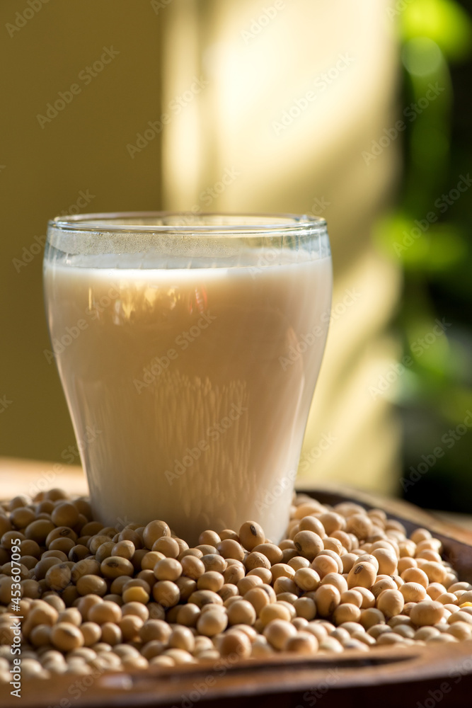 Tofu Juice and soy bean on nature background. Tofu Juice and soy bean on nature background.