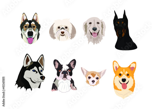 Dogs collection. Breeds of dogs isolated on white. Husky, french bulldog, chihuahua