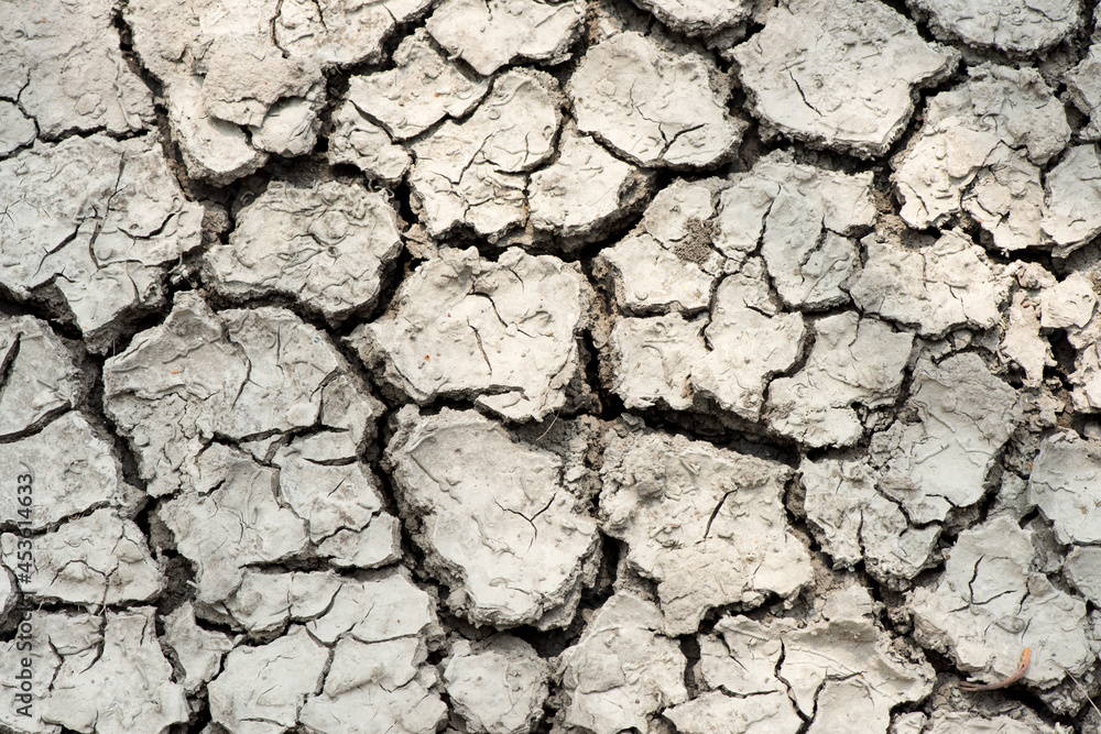Cracked soil surface and texture background. Cracked soil surface and texture background.