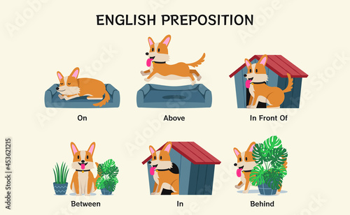 English prepositions. Educational visual material for kids learning language. Cute corgi dog pet on, above, front, between, in, behind. Foreign language for children illustration