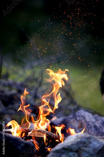 Feu de camp - bivouac bushcraft soir flammes