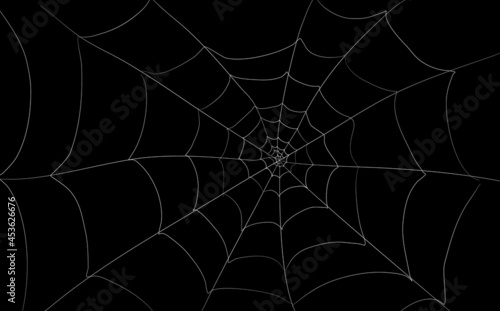 Spider web banner. Scary spiderweb illustration. Halloween template decoration for banners and photos.