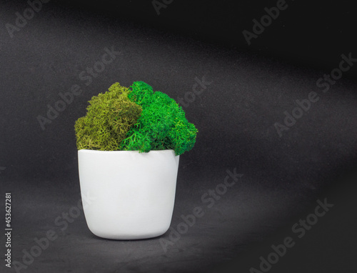 Several shades of green.