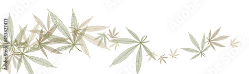 Background with Marijuana leaf veins. Medical cannabis. Vector illustration. 