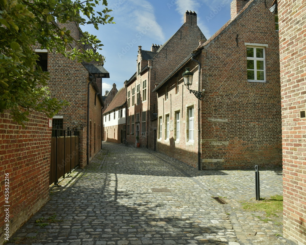 Rue à pavés entre les vieilles bâtisses historiques du Grand Béguinage de Louvain (Leuven) en Brabant flamand Rue à pavés entre les vieilles bâtisses historiques du Grand Béguinage de Louvain (Leuven) en Brabant flamand